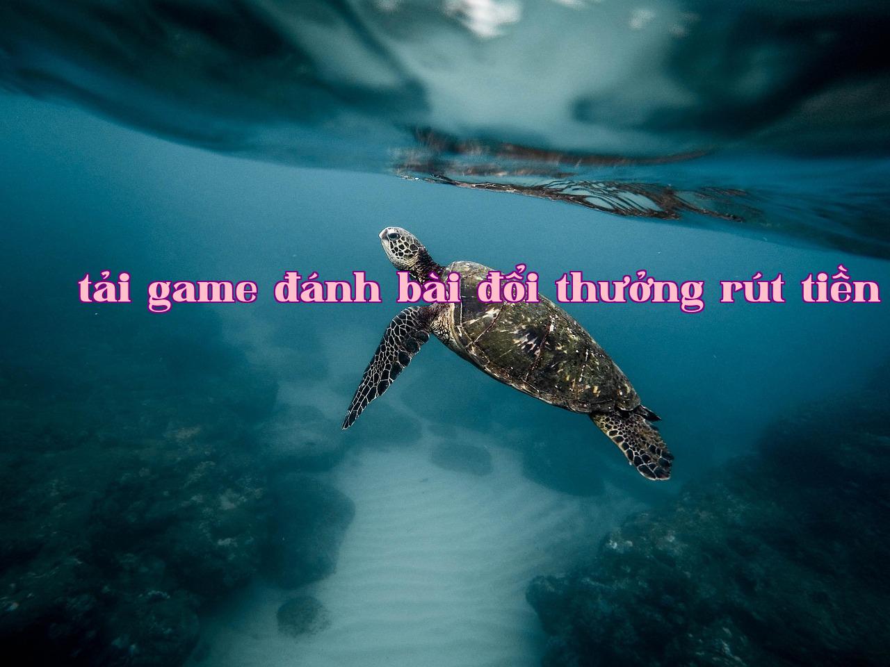 /imgposts/4mhw6gbf.jpg