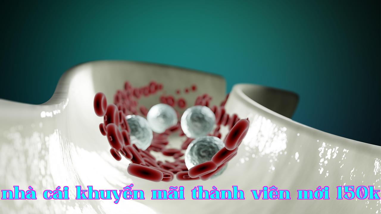 /imgposts/cevpclkm.jpg